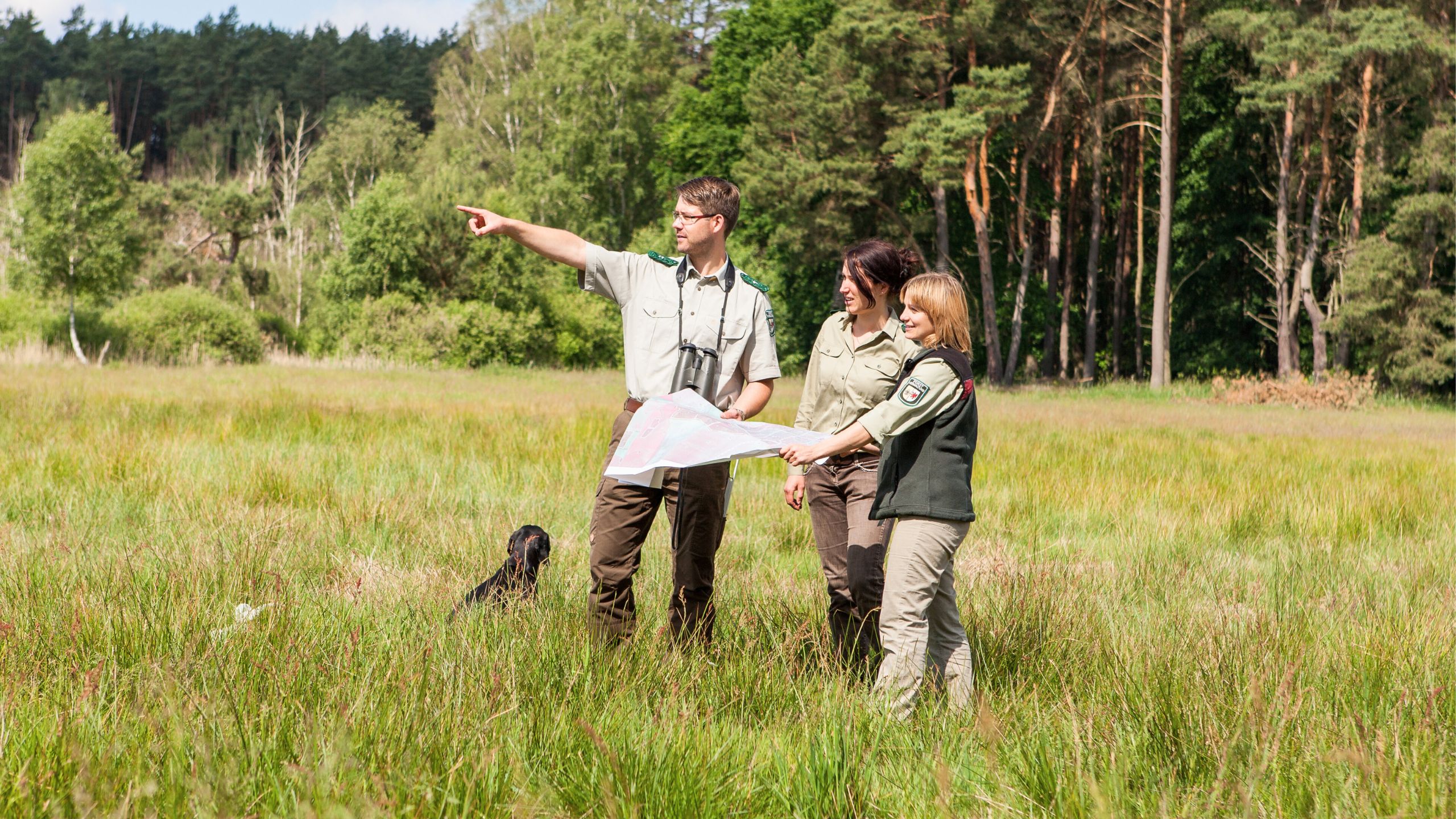 Jeder vierte wird Berufsunfähig Forstbeamte und Förster die geschützt und abgesichert von einer Dienstunfähigkeitsversicherung des BDF Sozialwerk, geschützte Arbeitskraftabsicherung