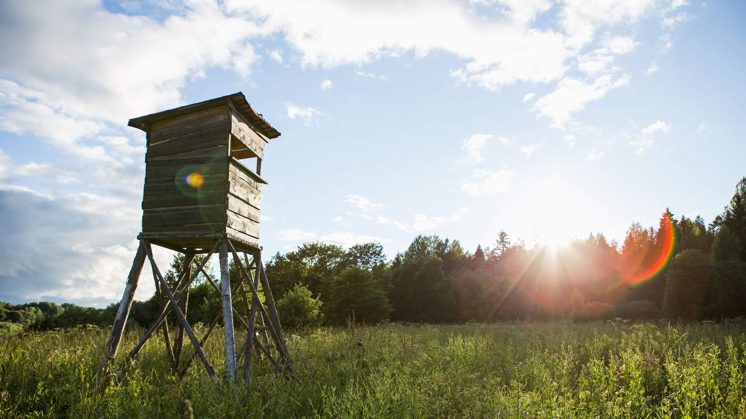 Deutschlands günstigste Jagdhaftpflicht Jagdstand mit Jäger gut abgesichert und geschützt durch die Jagdhaftpflichtversicherung des BDF Sozialwerk, günstiger Schutz und Sicherheit für Forstleute durch die Jagdversicherung